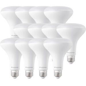 Luminious BASIX LED Bulbs - 2 Pack